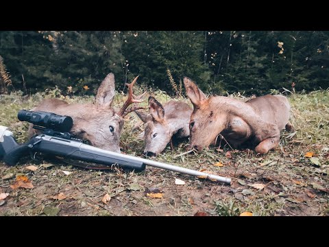 Видео: Три ХЭД ШОТA за охоту. Охота на косулю осенью  Arkon ARMA HR50L