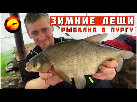 Видео: Лещ во время пурги / Зимняя рыбалка в глухозимье