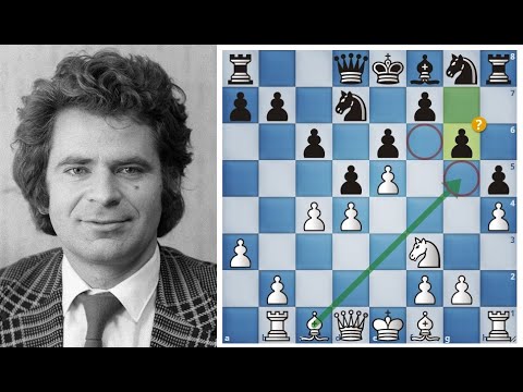 Видео: Борис Спасский проводит красивую атаку на короля Сейравана! Шахматы.