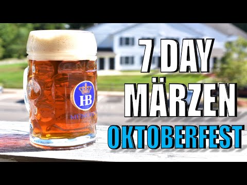 Видео: Варка быстрого пива «Октоберфест»/мерцен при комнатных температурах | Из зерна в бокал | Фермента...