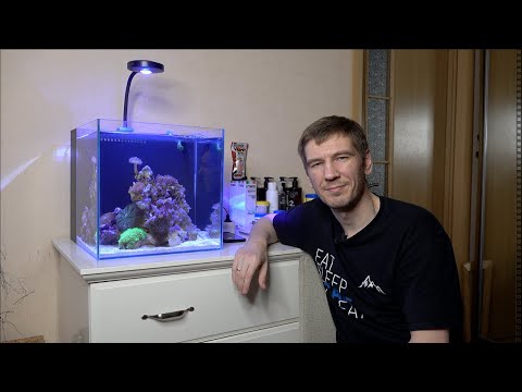 Видео: Запуск мягкого нанорифа 50л