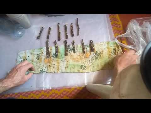 Видео: черенкование инжира по простому