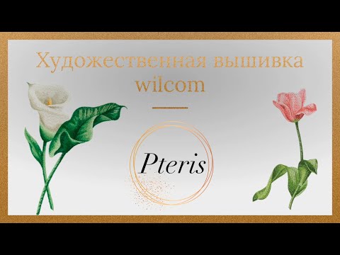 Видео: Wilcom. Курс художественной вышивки
