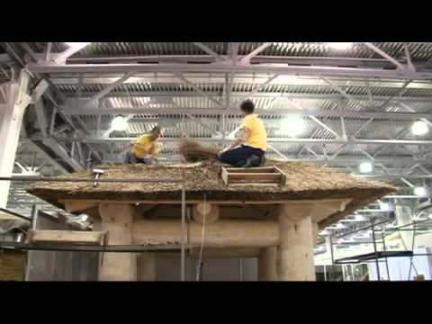 Видео: Камышовая кровля