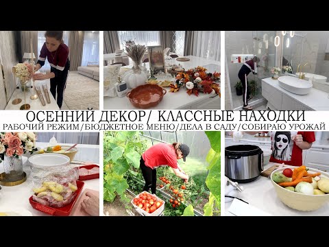 Видео: ОСЕННИЙ ДЕКОР/КЛАССНЫЕ НАХОДКИ/ВЛИВАЕМСЯ В РАБОЧИЙ РЕЖИМ/БЮДЖЕТНОЕ МЕНЮ/ДЕЛА В САДУ/ПОРЯДОК ДОМА/УЮТ