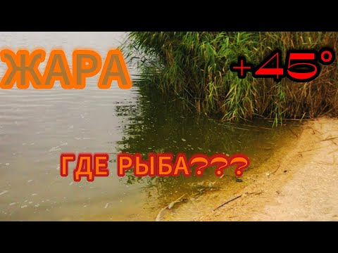 Видео: РЫБАЛКА В ЖАРУ В +45!ПРОВЕРЯЕМ КЛЕВ РЫБИ