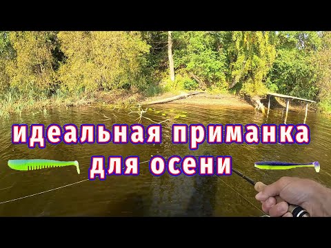 Видео: Идеальная приманка для осени. Работает всегда!