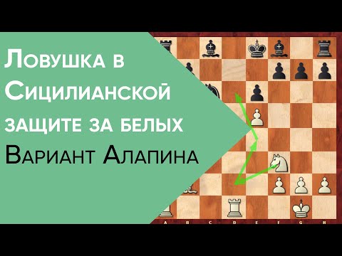 Видео: Ловушка в Сицилианской защите за белых. Вариант Алапина