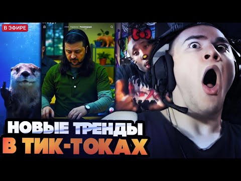 Видео: ДЕРЗКО СМОТРИТ НОВЫЕ ТРЕНДЫ В ТИК-ТОКАХ