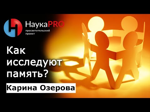Видео: Как исследуют память и какой она бывает? | Лекции по социологии – социолог Карина Озерова | Научпоп