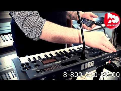 Видео: Клавишный сэмплер KORG MICROSAMPLER