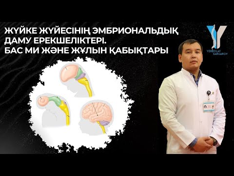 Видео: Жүйке жүйесінің эмбриональдық даму ерекшеліктері. Бас ми және жұлын қабықтары