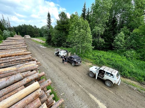 Видео: В тайгу / до реки Кельбес