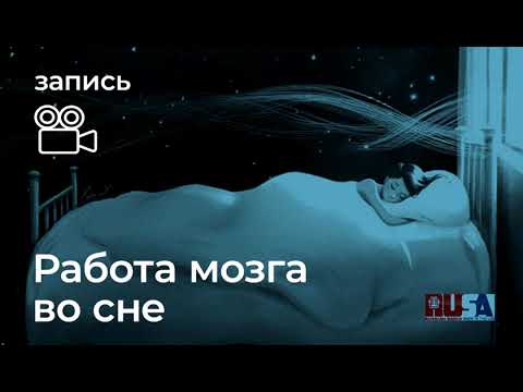 Видео: Александр Литвин: Работа во сне