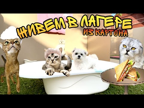 Видео: 24 ЧАСА в лагере ИЗ КАРТОНА играем В ПРЯТКИ