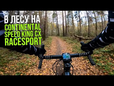 Видео: По лесу на новых покрышках Continental Speed King CX RaceSport 32