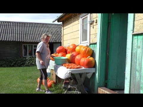 Видео: В деревне Беларуси, Муж - железяка, Жена - огородница 