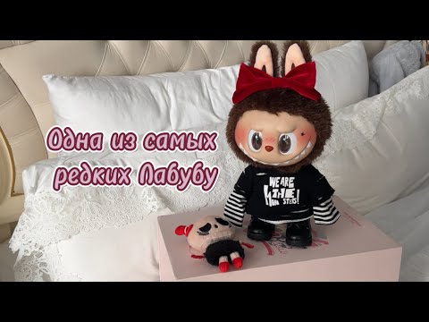 Видео: Распаковка Labubu Catch Me!