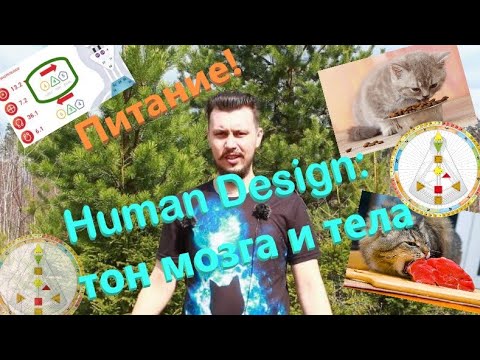 Видео: Питание в Дизайне Человека, часть 2: тон мозга и тела