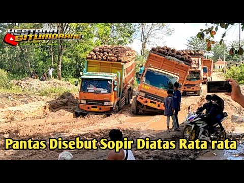 Видео: Все смотрят, когда видят, как грузовик с пальмовым маслом отчаянно заезжает в грязь