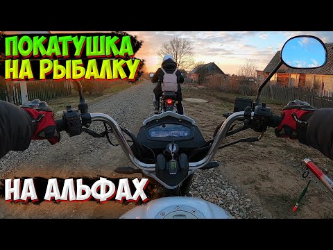 Видео: ПОЕХАЛИ НА РЕЧНУЮ РЫБАЛКУ НА МОПЕДАХ АЛЬФА