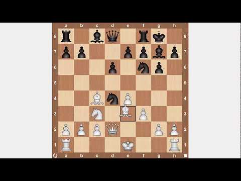 Видео: Шахматы для начинающих. Вариант дракона. Игра с разносторонними рокировками. Фишер.