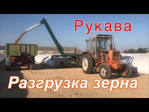 Видео: Разгрузка зерна из рукавов