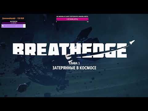 Видео: Побег из курятника мы вне системы )