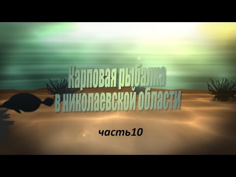 Видео: Карповая рыбалка в Николаевской области часть10