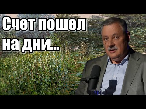 Видео: Дмитрий Евстафьев. Счет пошел на дни...