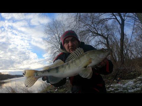 Видео: Судак На Джиг ! Вечерний Выход перед Морозами ! Зимний Спиннинг  с Берега р. Десна