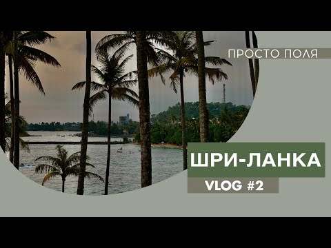 Видео: Путешествие на Шри-Ланку / Бентота / NH Bentota Ceysands Resort / девятиарочный мост / храм Будды