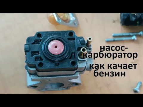 Видео: #Мотокоса  Усстройство насос карбюратора  Насосная группа  Главная мембрана  Управление подачей