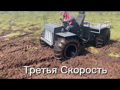 Видео: Колбасим Болото