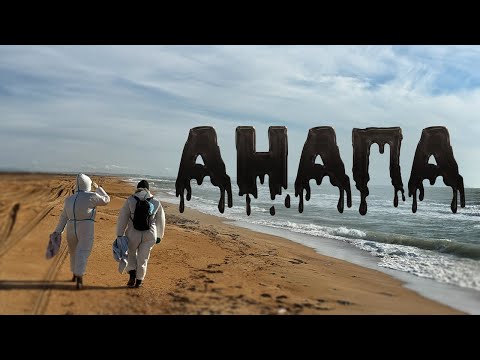 Видео: Анапа в мазуте: как волонтеры спасают море и птиц?