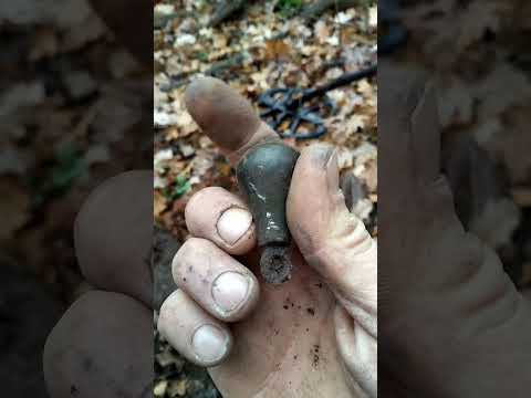 Видео: Искал стоянку бронзового века. Признаки есть. 