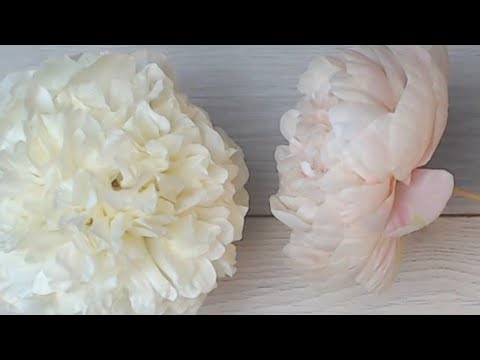 Видео: Разбираем молды