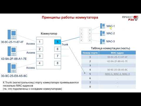 Видео: Принцип работы коммутатора