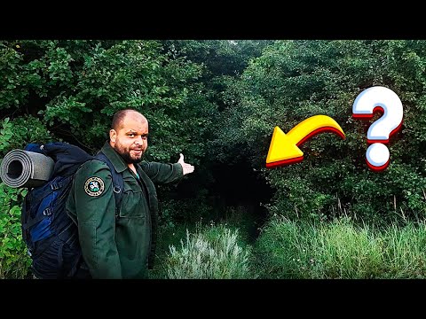 Видео: Bushcraft навыки, туризм и походы,  дикие звери, землянка или хижина
