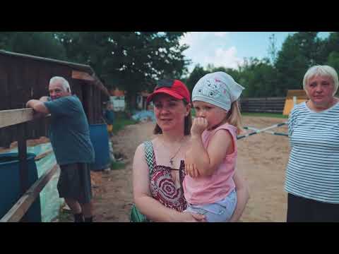 Видео: Две Оли | Английские тяжеловесы | Редкие лошади
