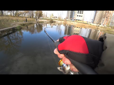 Видео: Поклевка за поклевкой !!!Рыбалка на щуку на озере королек 10.11.2021