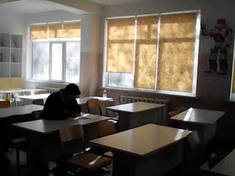 Видео: информатика 10 сынып