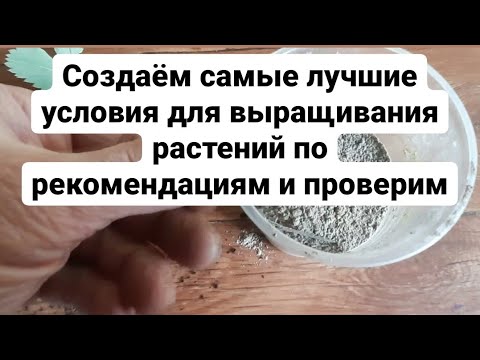 Видео: Лучшие удобрения и ПЛОДОРОДИЕ Лучшее выращивание ?