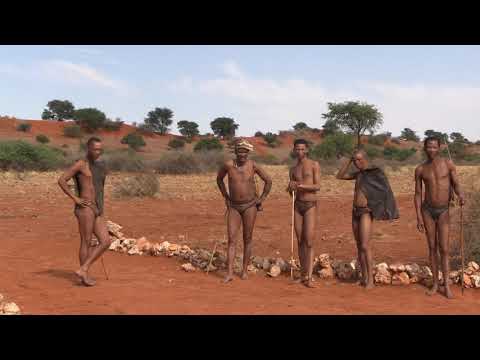 Видео: БУШМЕНЫ КАЛАХАРИ. НАМИБИЯ