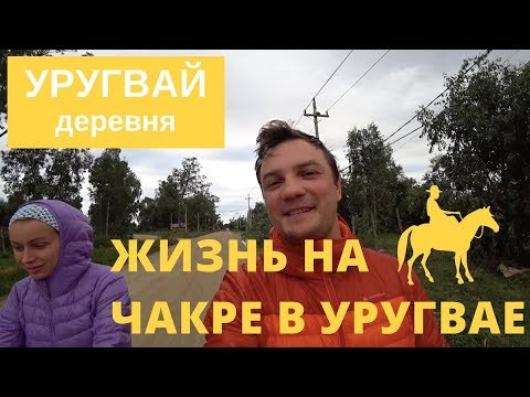 Видео: Уругвайская чакра. Что это такое? Как мы живем на ферме в Уругвае.