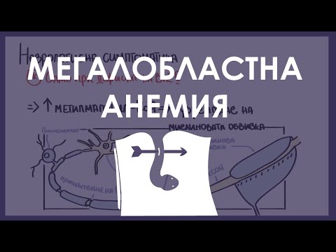 Видео: Хематология | Мегалобластна анемия. Етиология, патогенеза, клинична картина, ДД и лечение.