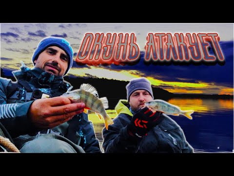 Видео: НАШЛИ СТАЮ ОКУНЕЙ, КОТОРЫЕ СДЕЛАЛИ ВСЮ РЫБАЛКУ. АТАКИ НА КАЖДОЙ ПРОВОДКЕ.
