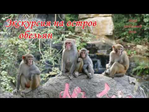 Видео: ОСТРОВ ОБЕЗЬЯН на Хайнани, КИТАЙ: что можно увидеть на экскурсии