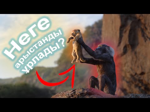 Видео: АРЫСТАННЫҢ КҮШІГІН ҰРЛАЙТЫН МАЙМЫЛДАР / ӘЛЕМДЕГІ ЕРЕКШЕ ДЕРЕКТЕР