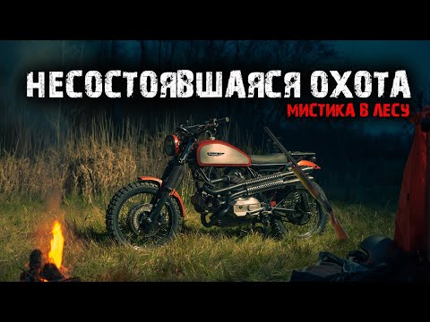 Видео: Мистика в лесу - Несостоявшаяся охота.